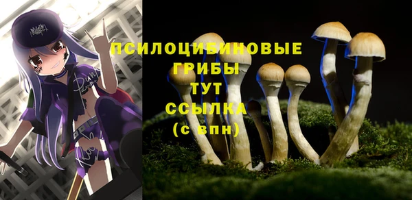 a pvp Алексин