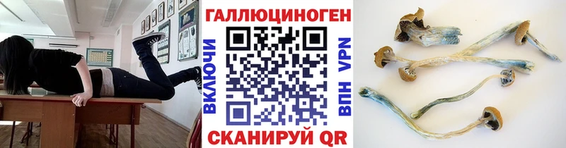 гидра зеркало  Петров Вал  Псилоцибиновые грибы Psilocybine cubensis 